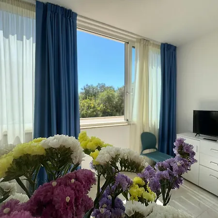 Rosa Dei Venti Apartmán